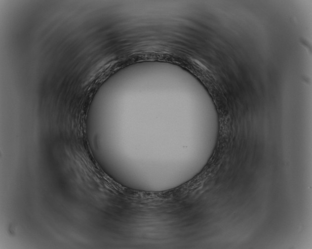 X0000093580774200710150956