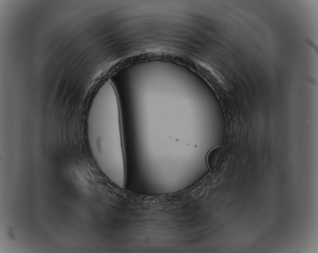 X0000093580776200710150956