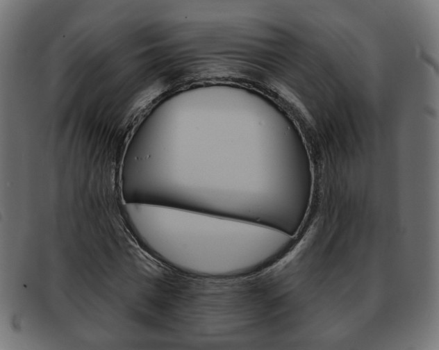 X0000093580777200710150956