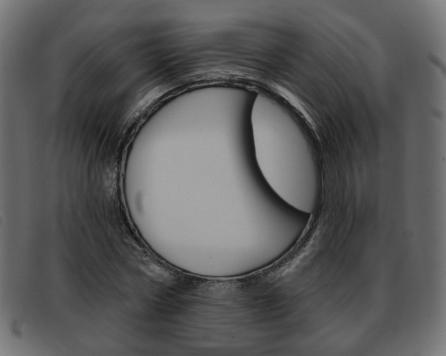 X0000093580778200710150956