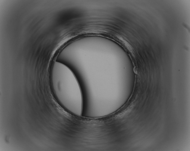 X0000093580779200710150956