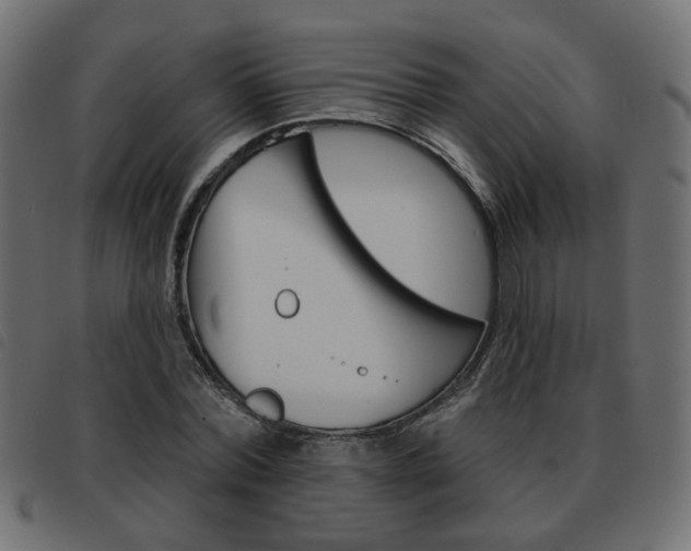 X0000093580780200710150956