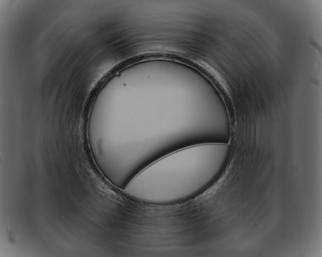X0000093580783200710150956