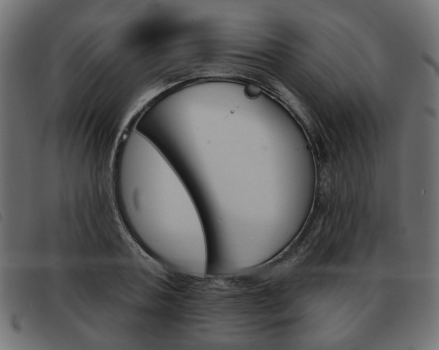 X0000093580787200710150956