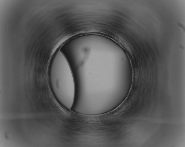 X0000093580789200710150956