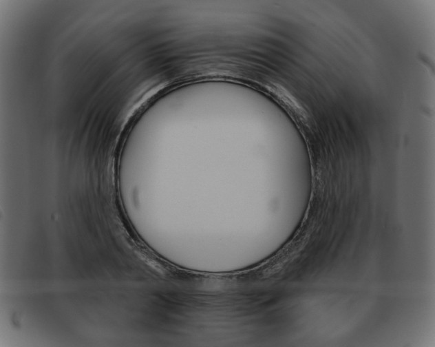 X0000093580790200710150956