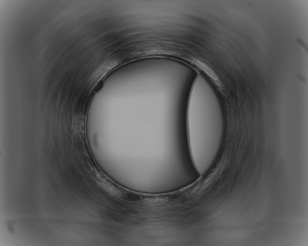 X0000093580793200710150956