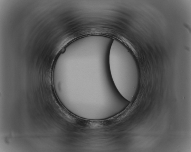 X0000093580794200710150956