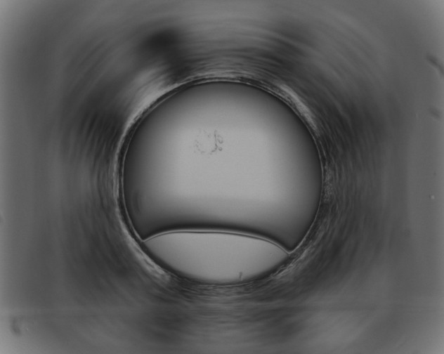 X0000093580795200710150956