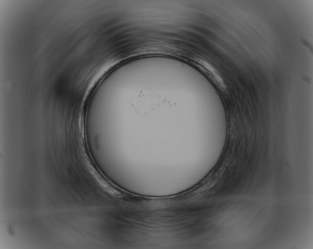 X0000093580796200710150956