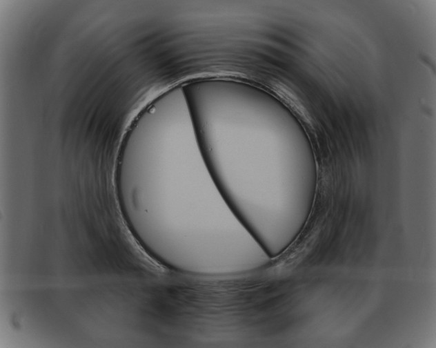 X0000093580797200710150956