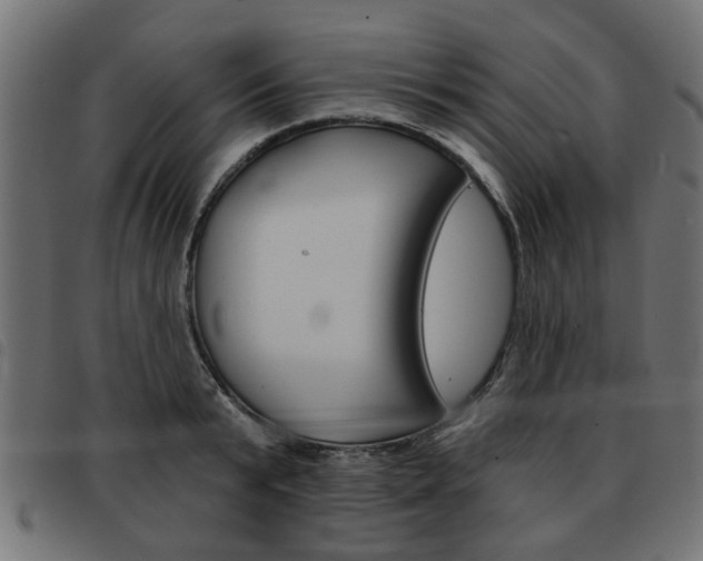 X0000093580799200710150956