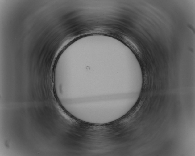 X0000093580800200710150956
