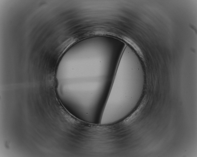 X0000093580801200710150956