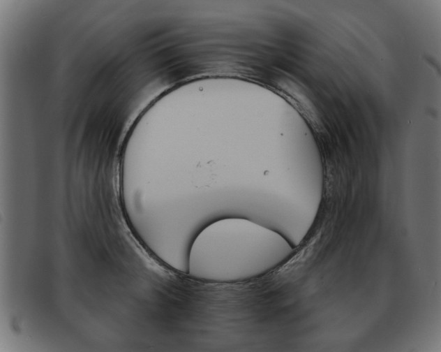 X0000093580804200710150956