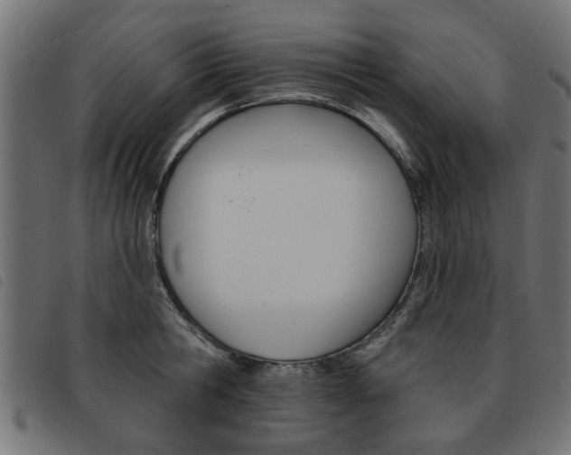 X0000093580806200710150956