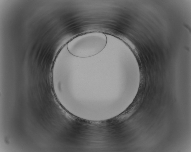 X0000093580807200710150956