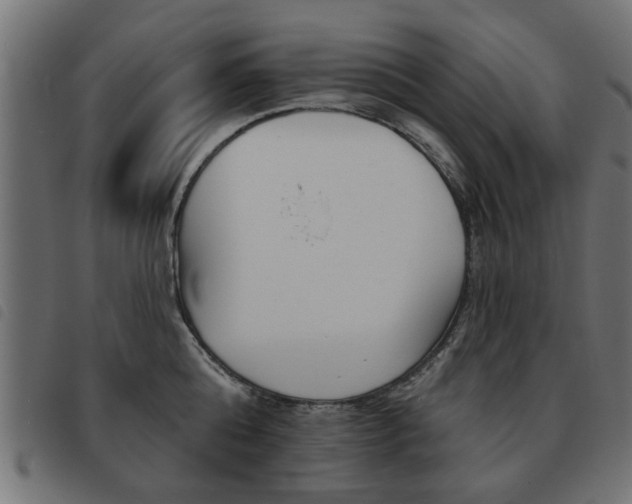 X0000093580808200710150956