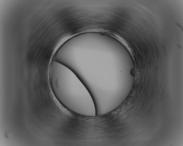 X0000093580811200710150956