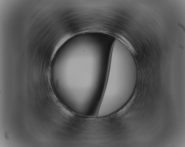 X0000093580812200710150956