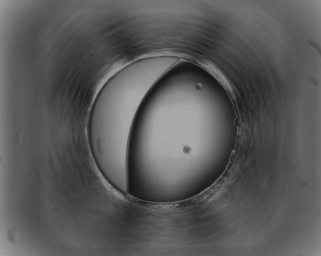 X0000093580813200710150956