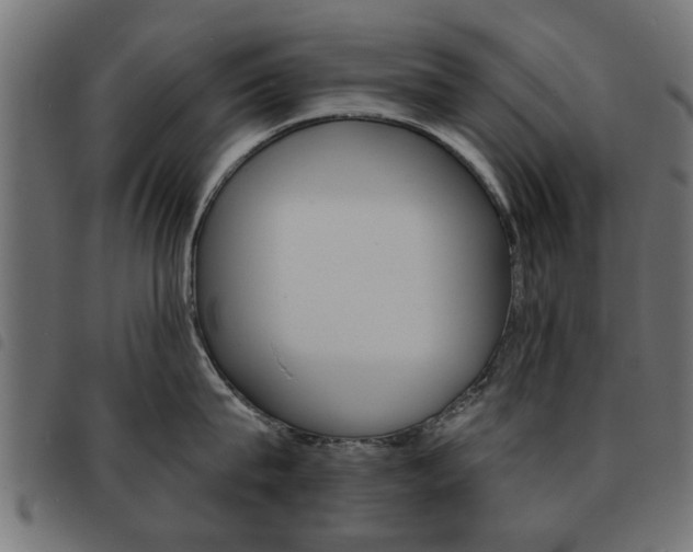 X0000093580815200710150956