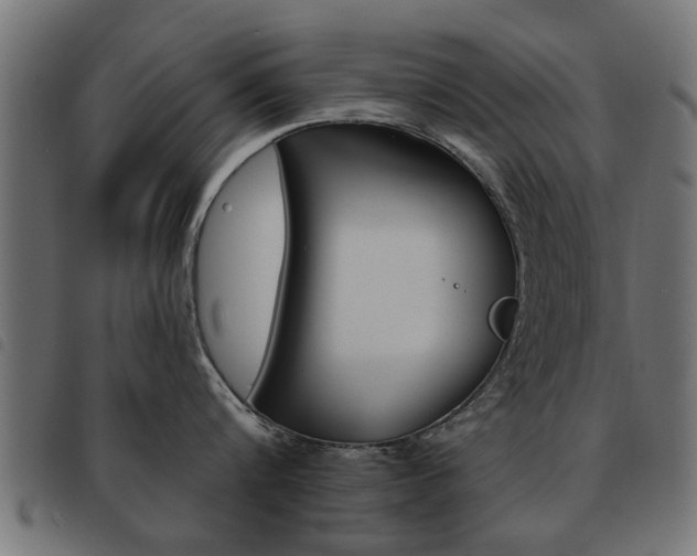 X0000093580816200710150956