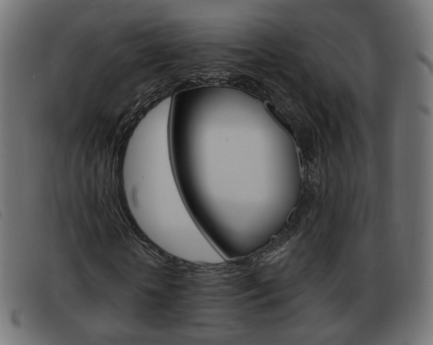 X0000093580818200710150955