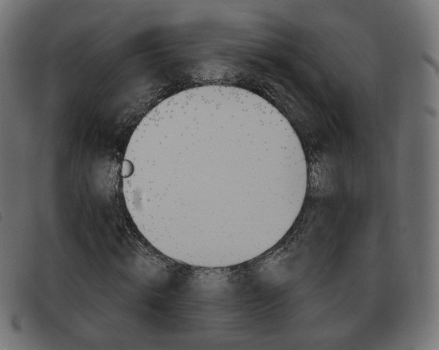 X0000093580820200710150955