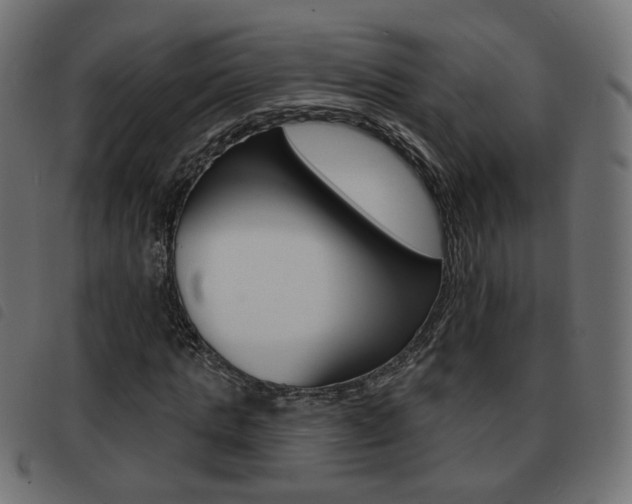 X0000093580821200710150955