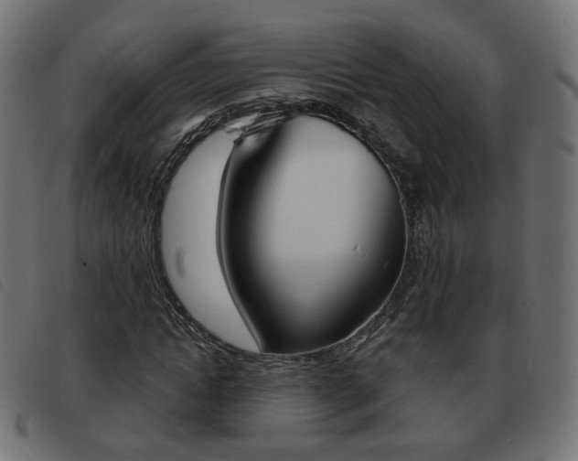 X0000093580822200710150955