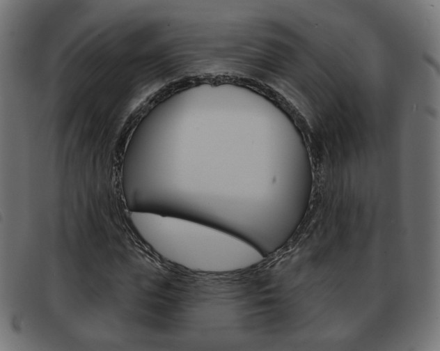 X0000093580823200710150955