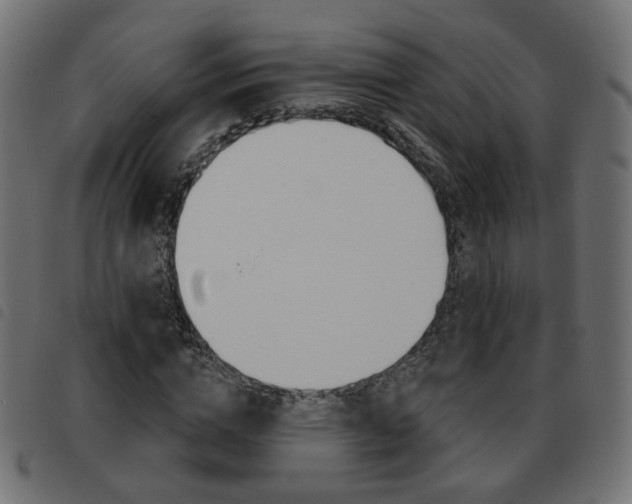 X0000093580824200710150955
