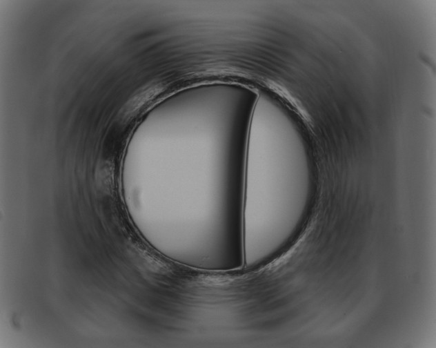 X0000093580825200710150955