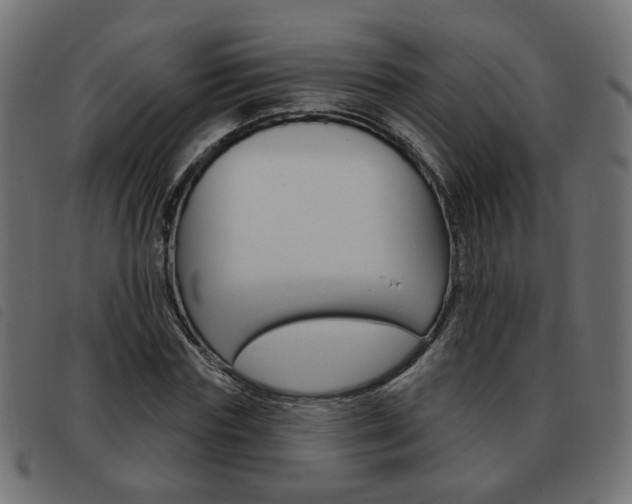 X0000093580827200710150955