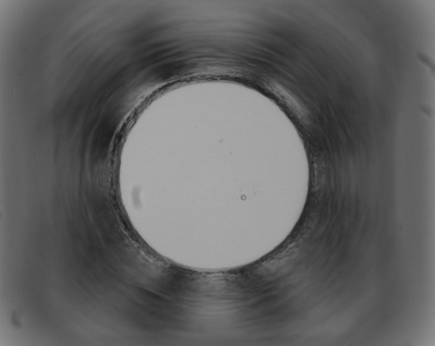 X0000093580828200710150955