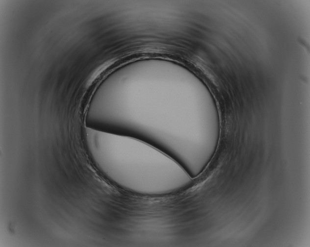 X0000093580829200710150955