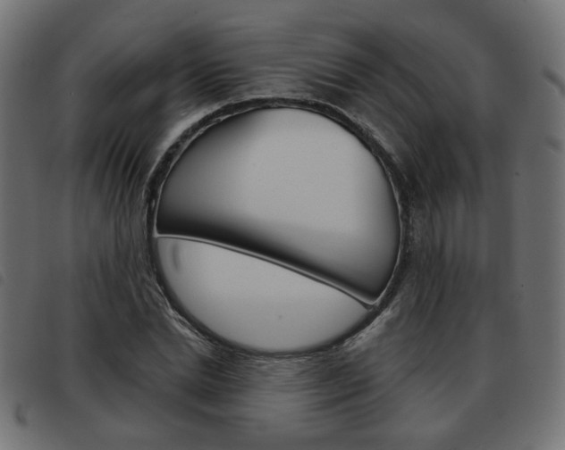 X0000093580830200710150955