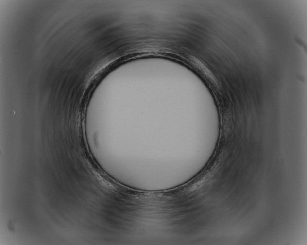 X0000093580831200710150955