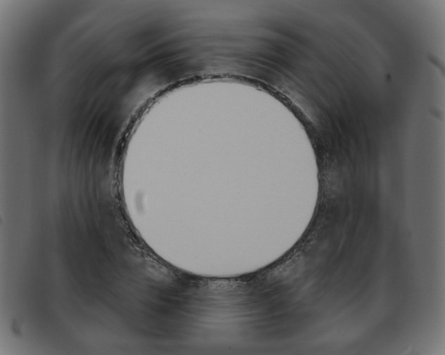 X0000093580832200710150955