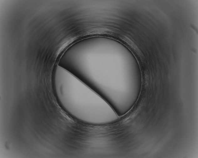 X0000093580834200710150955