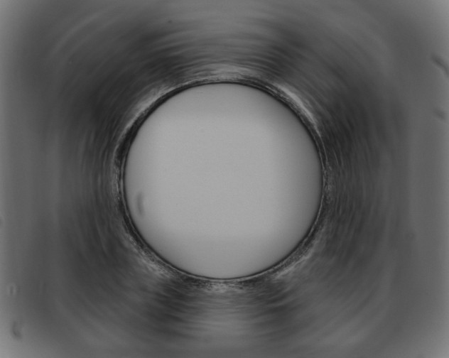 X0000093580835200710150955