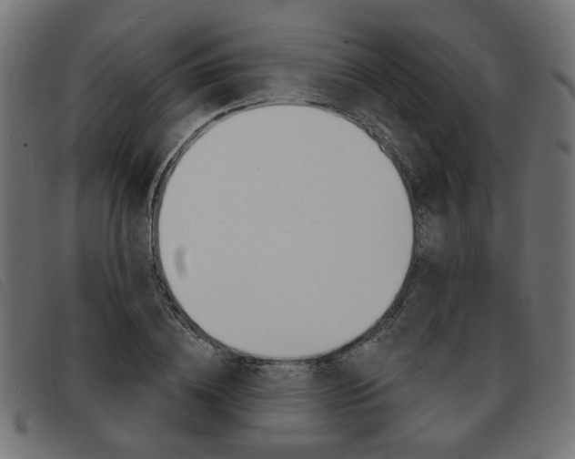 X0000093580836200710150955