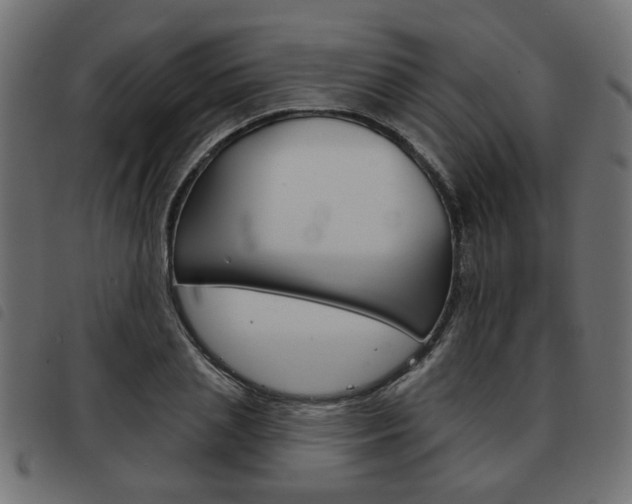 X0000093580837200710150955
