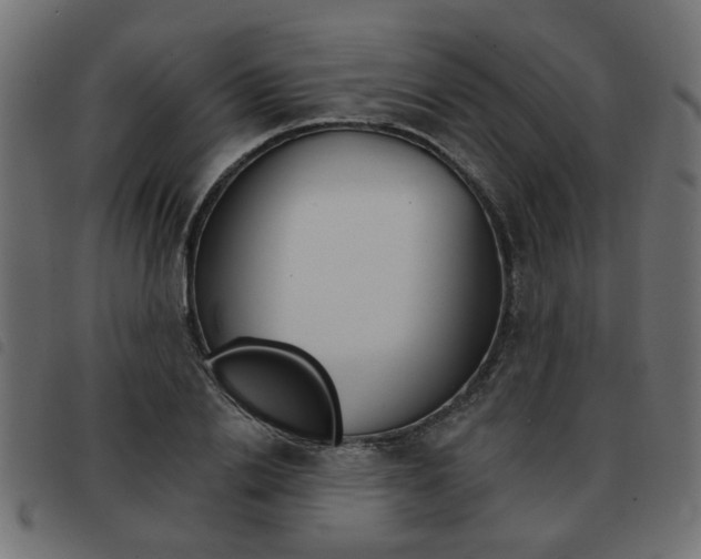 X0000093580838200710150955