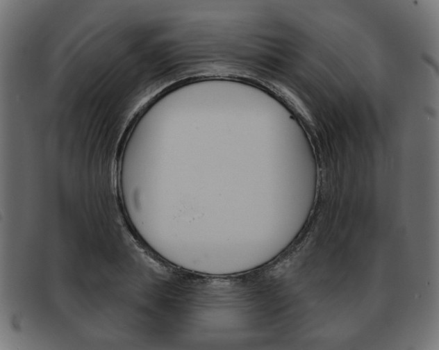 X0000093580839200710150956