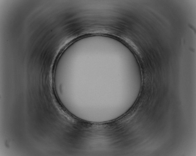 X0000093580840200710150956