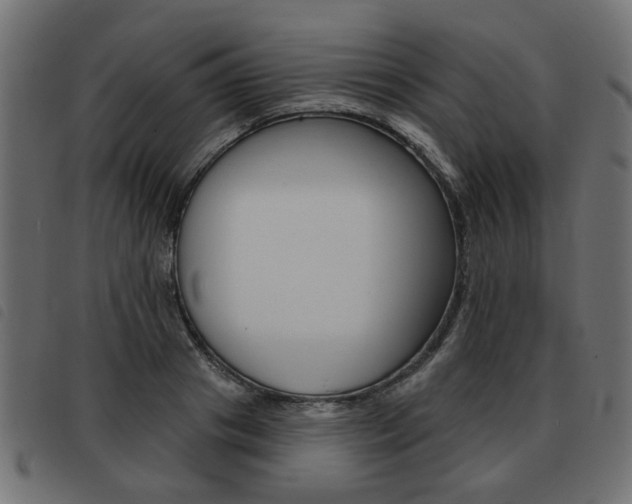 X0000093580841200710150956