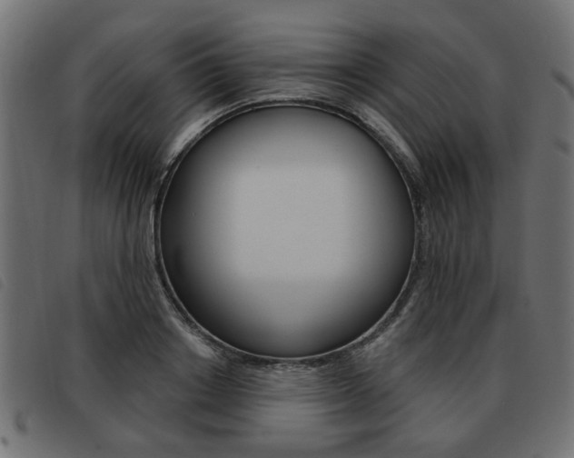 X0000093580842200710150956