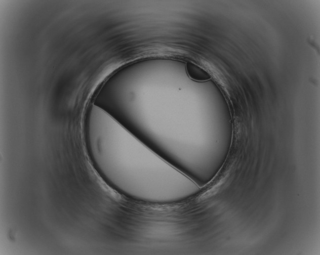 X0000093580843200710150956